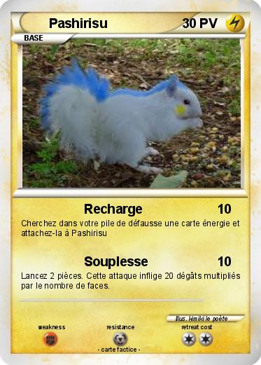 Pokemon Pashirisu