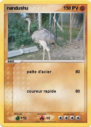 Pokemon nandushu