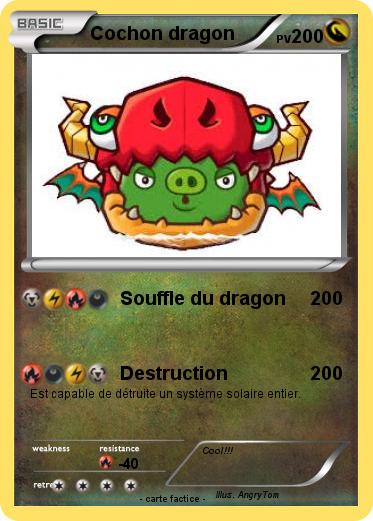 Pokemon Cochon dragon