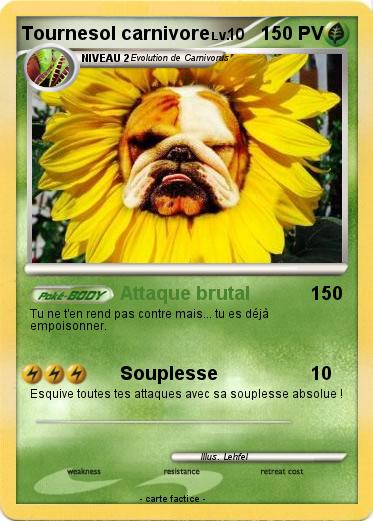 Pokemon Tournesol carnivore
