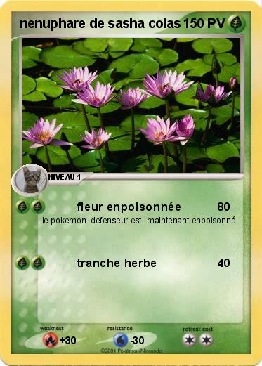 Pokemon nenuphare de sasha colas 
