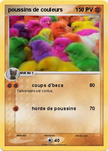 Pokemon poussins de couleurs