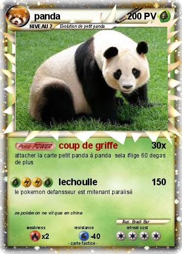 Pokemon panda