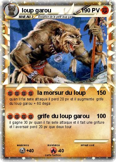 Pokemon loup garou