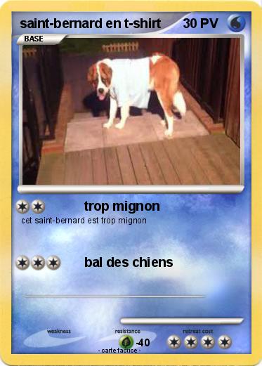 Pokemon saint-bernard en t-shirt