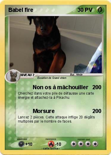 Pokemon Babel fire