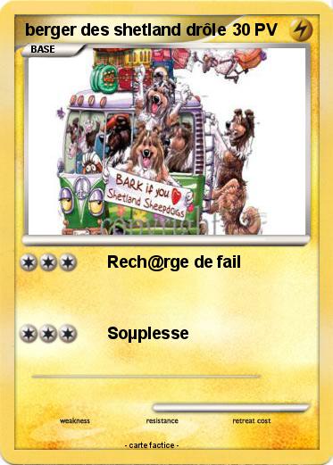 Pokemon berger des shetland drôle