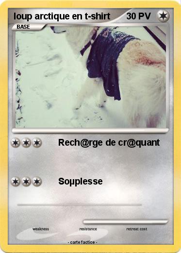 Pokemon loup arctique en t-shirt
