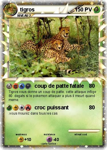 Pokemon tigros