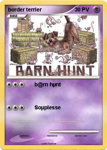 Pokemon border terrier