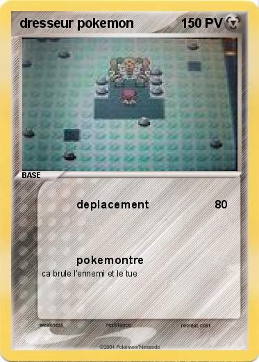 Pokemon dresseur pokemon
