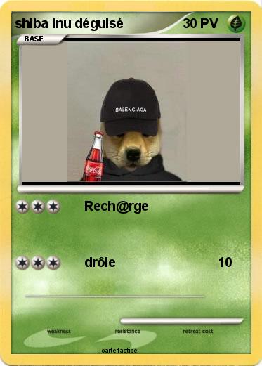 Pokemon shiba inu déguisé