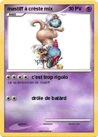 Pokemon mastiff à crêste mix
