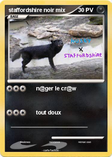 Pokemon staffordshire noir mix