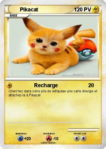 Pokemon Pikacat