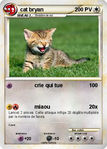 Pokemon cat bryan