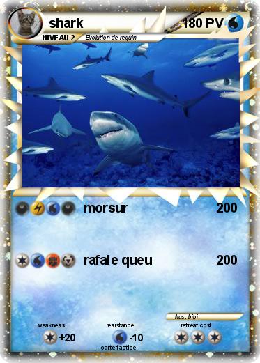 Pokemon shark