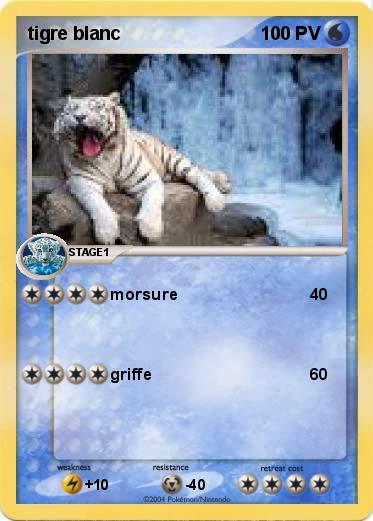 Pokemon tigre blanc 
