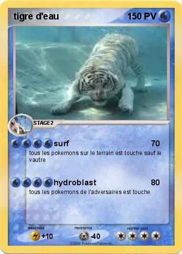 Pokemon tigre d'eau 