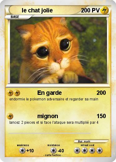 Pokemon le chat jolie