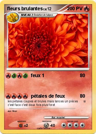 Pokemon fleurs brulantes