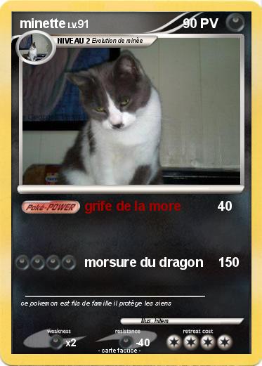 Pokemon minette