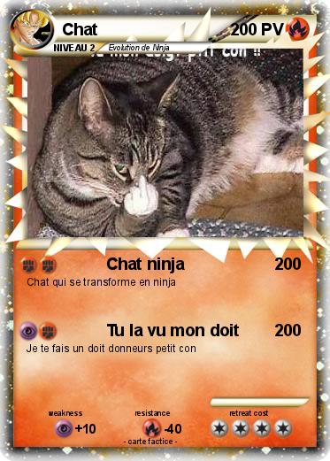 Pokemon Chat