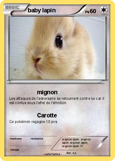 Pokemon baby lapin
