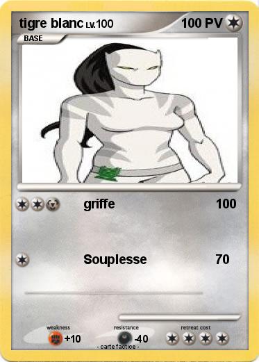 Pokemon tigre blanc