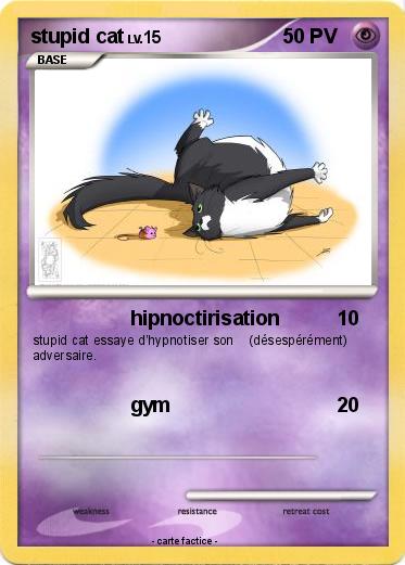 Pokemon stupid cat