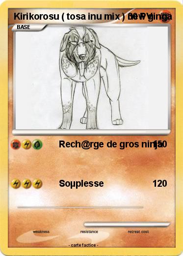 Pokemon Kirikorosu ( tosa inu mix ) new ginga