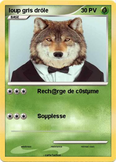 Pokemon loup gris drôle