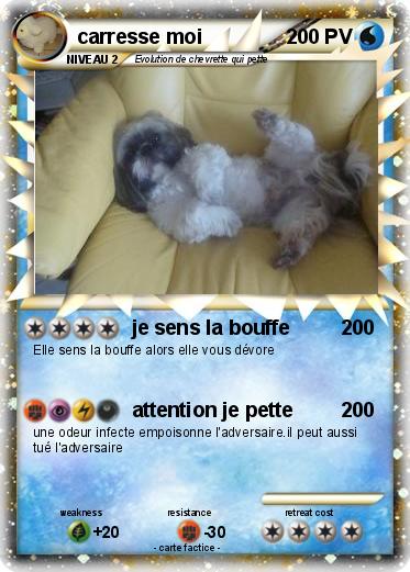 Pokemon carresse moi