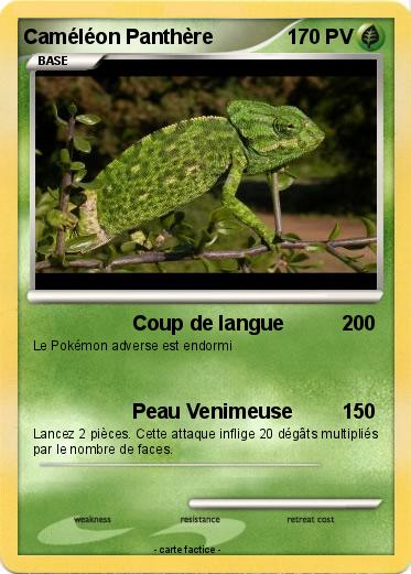 Pokemon Caméléon Panthère
