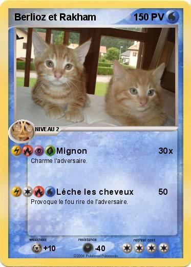 Pokemon Berlioz et Rakham