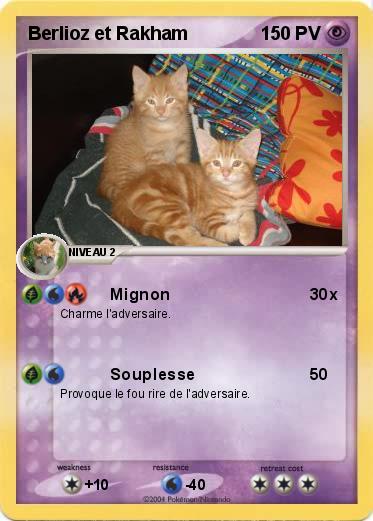 Pokemon Berlioz et Rakham