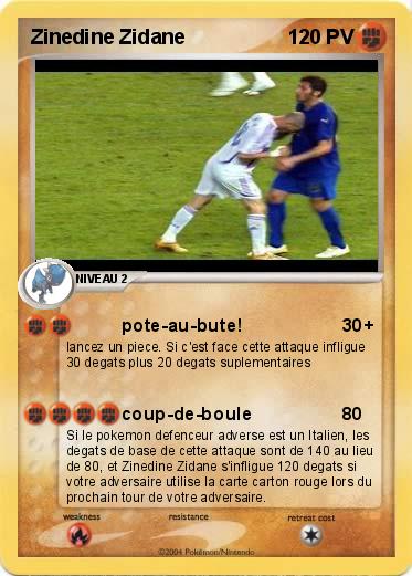 Pokemon Zinedine Zidane