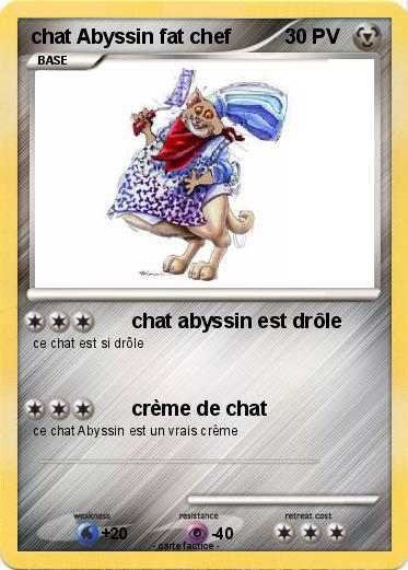 Pokemon chat Abyssin fat chef