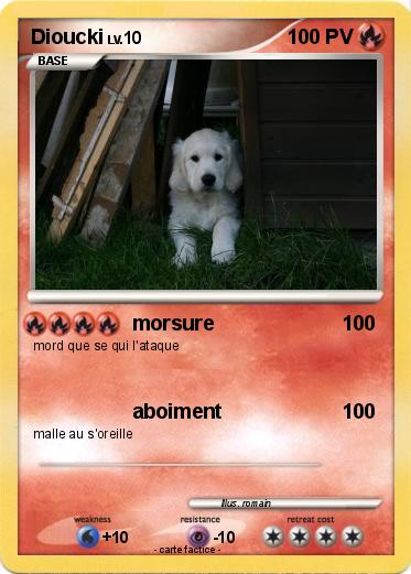 Pokemon Dioucki