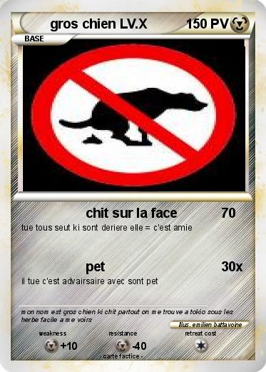 Pokemon gros chien LV.X