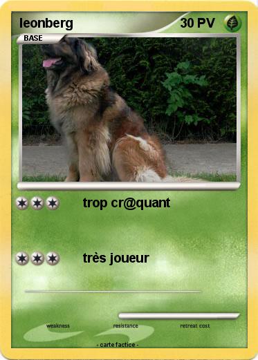 Pokemon leonberg