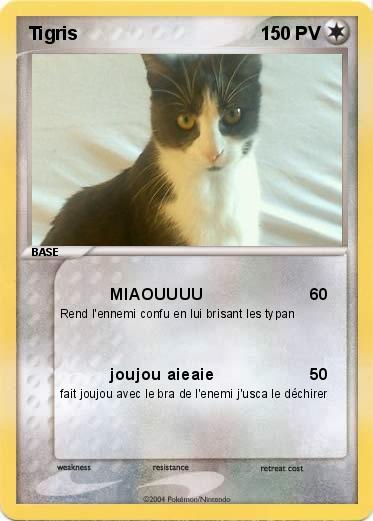 Pokemon Tigris
