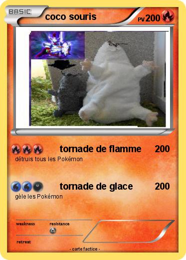 Pokemon coco souris