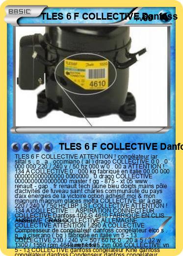 Pokemon TLES 6 F COLLECTIVE Danfoss