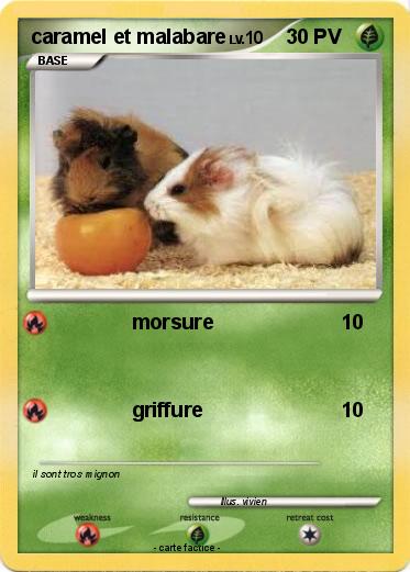 Pokemon caramel et malabare