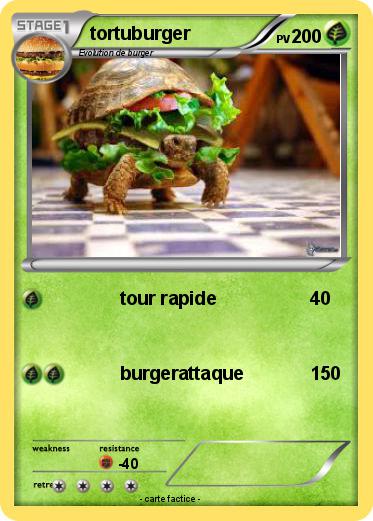 Pokemon tortuburger