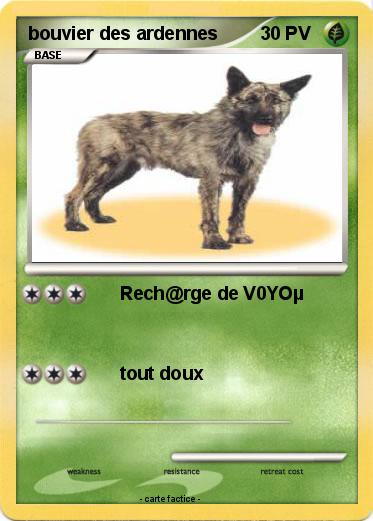 Pokemon bouvier des ardennes