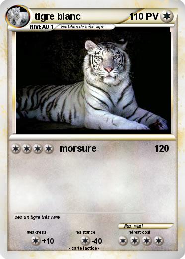 Pokemon tigre blanc