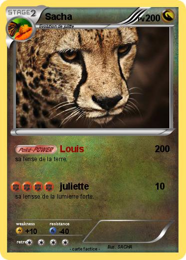 Pokemon Sacha