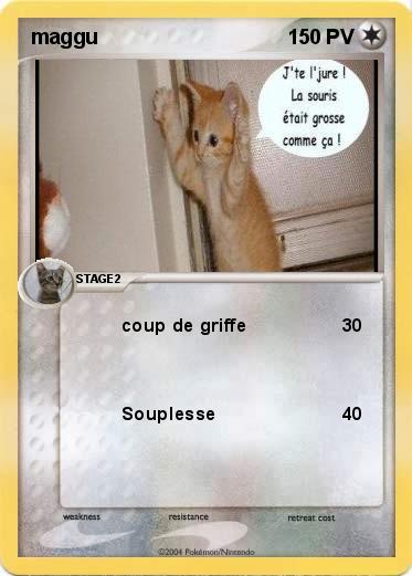 Pokemon maggu
